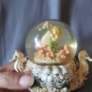 Snow globe/ water globe